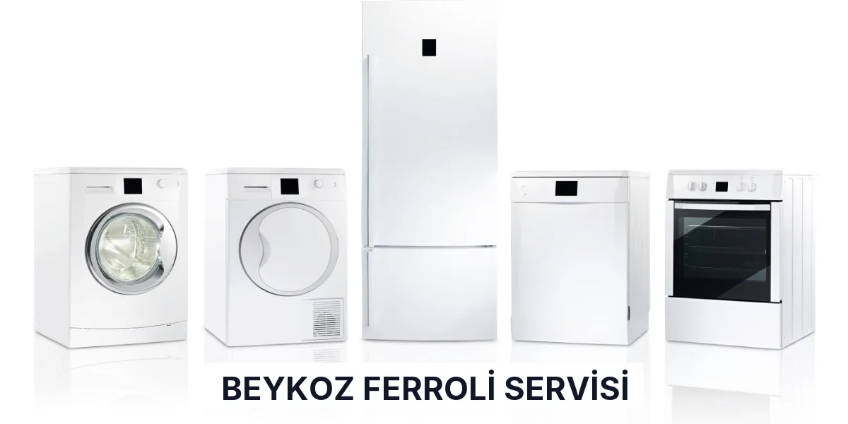 Beykoz Ferroli Servisi
