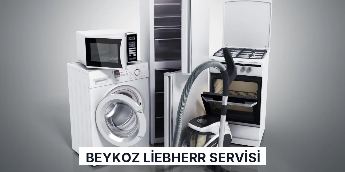 Beykoz Liebherr Servisi